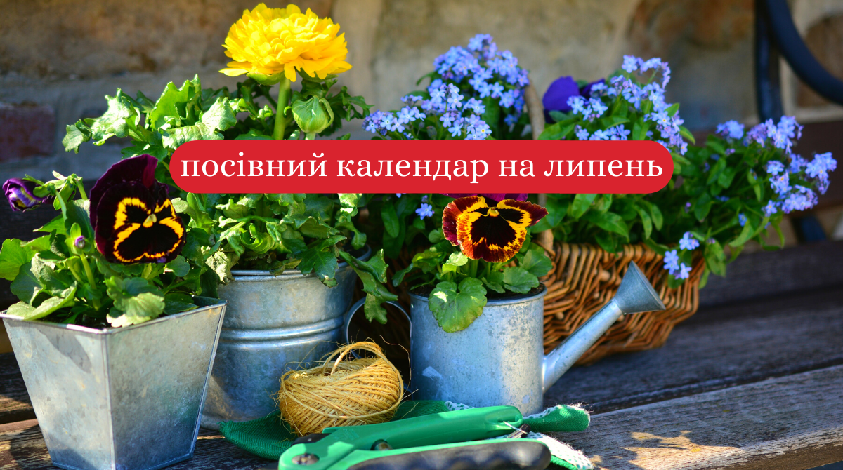 Місячний посівний календар на липень 2020: коли і що садити