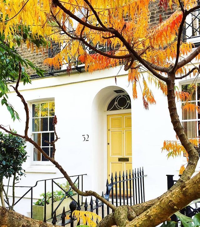 Квітучі помешкання Лондона, які приковують погляд (фото) - фото 411731