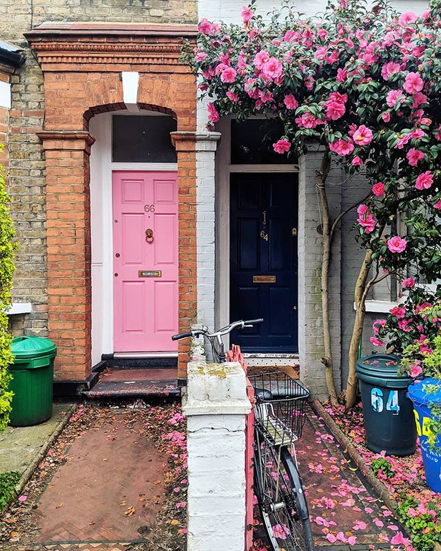 Квітучі помешкання Лондона, які приковують погляд (фото) - фото 411742