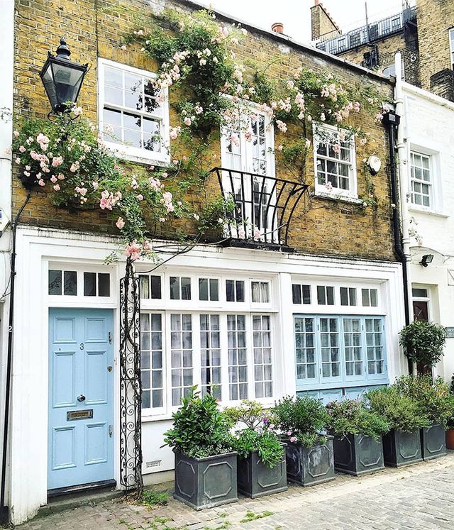 Квітучі помешкання Лондона, які приковують погляд (фото) - фото 411743