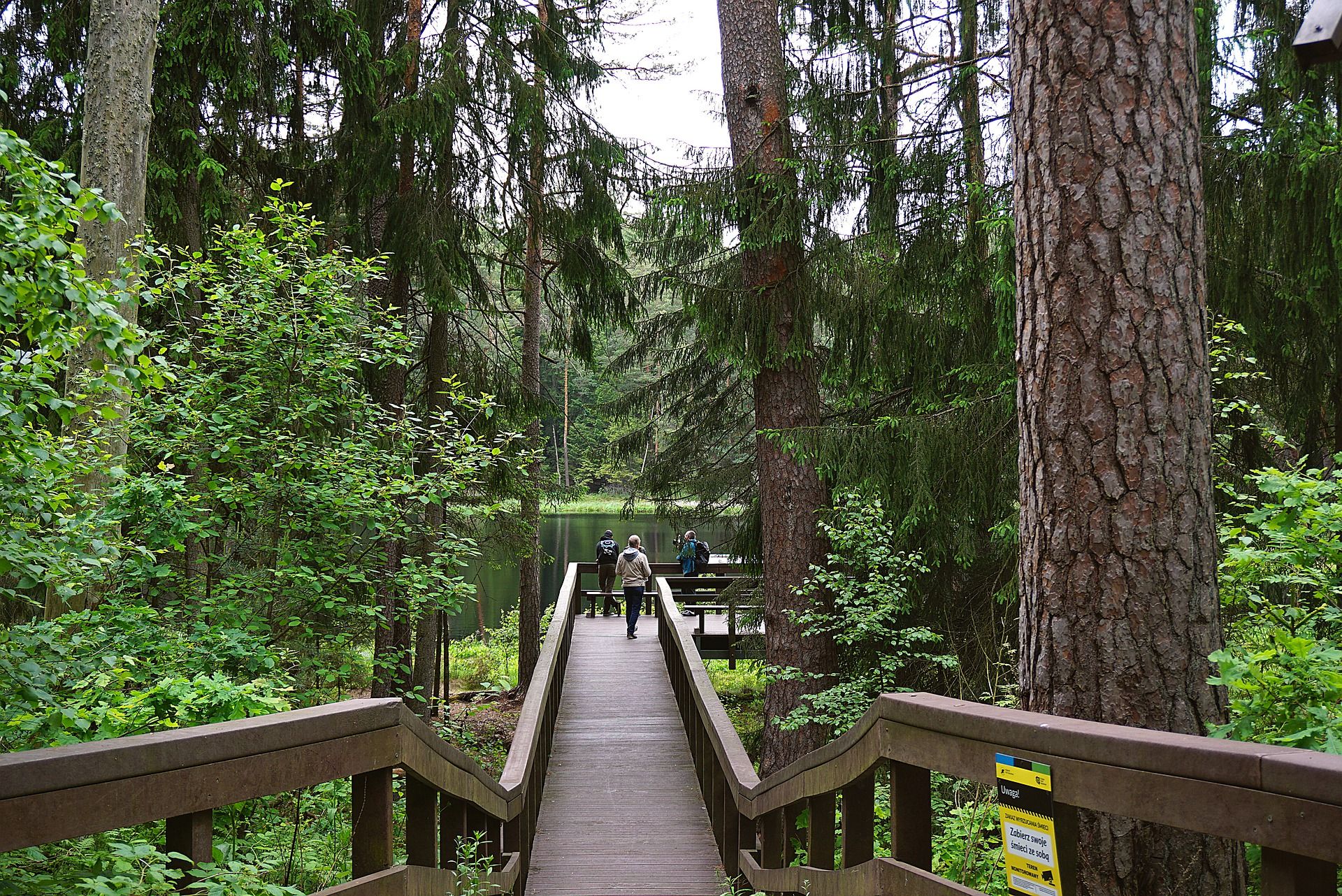 Гороскоп на 24 червня 2020: прогноз для всіх знаків Зодіаку