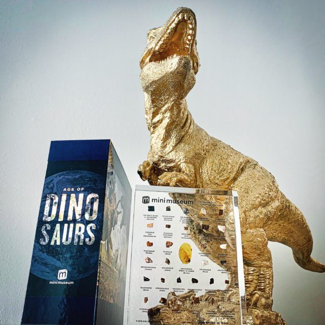 Кістка тиранозавра і фольга з місії Аполлон-11: американський стартап продає рідкісні речі - фото 411986