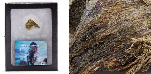 Кістка тиранозавра і фольга з місії Аполлон-11: американський стартап продає рідкісні речі - фото 411987