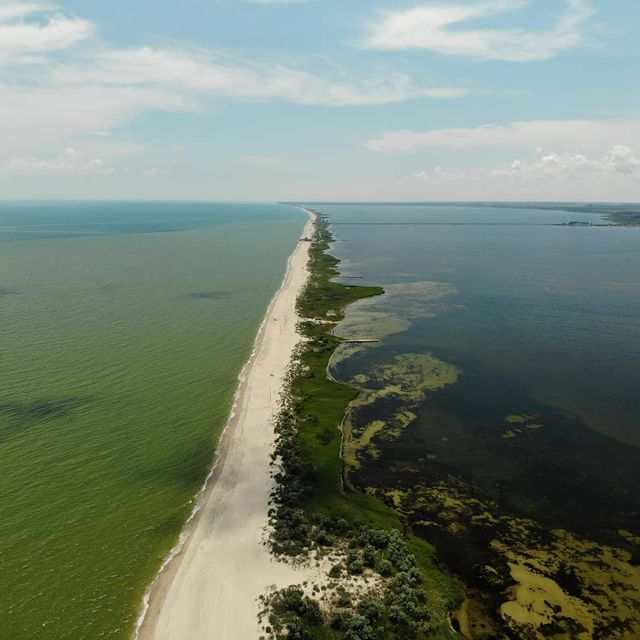 Будакська коса - фото 412441