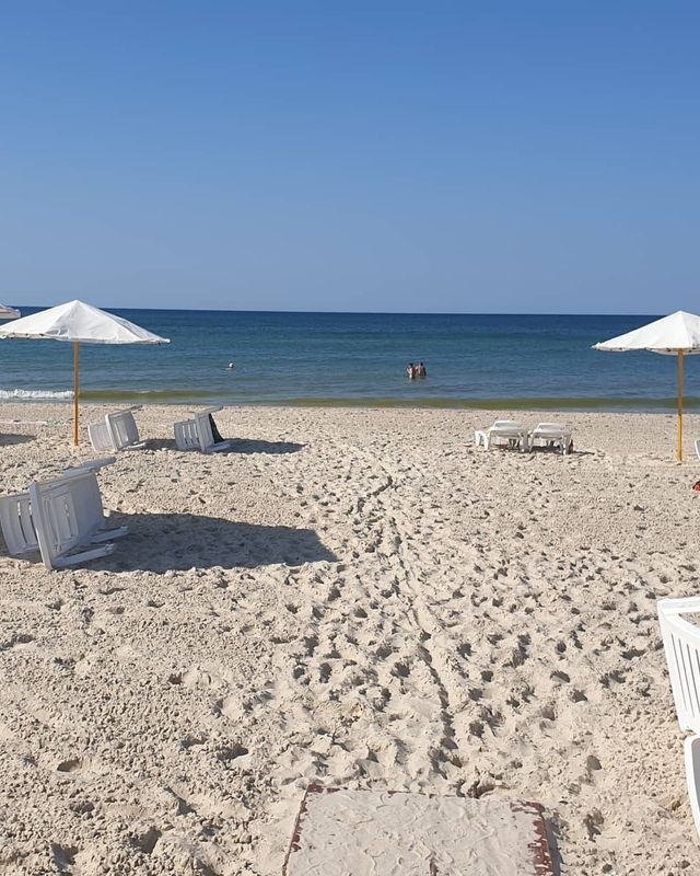 Лазурне - фото 412449