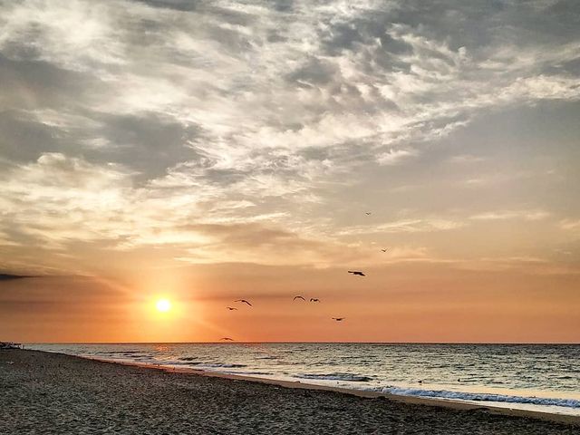 Затока - фото 412460