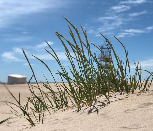 Кароліно-Бугаз - фото 412465