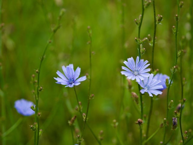 Якою буде погода у липні в Україні - фото 412569