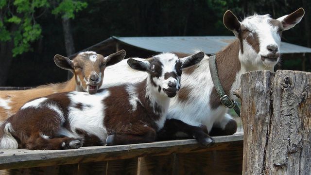 Жінка намагається встановити батьківство - фото 412674