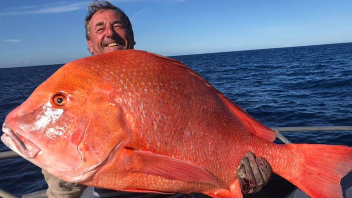 Австралієць зловив найбільшу рибу у житті і віддав її на дослідження: фотофакт - фото 1