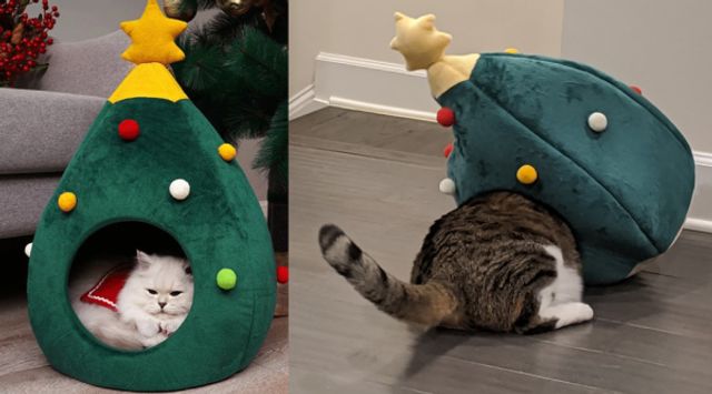 Очікування і реальність: покупки в інтернеті, які не вдались - фото 412952