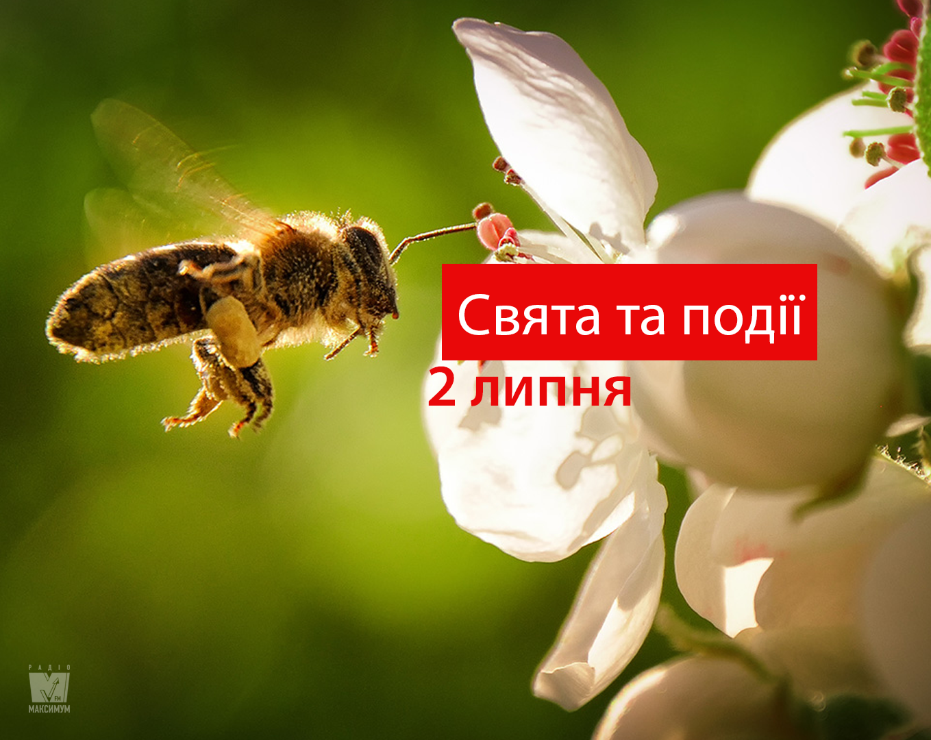 2 липня 2020 – яке сьогодні свято: традиції, заборони і прикмети
