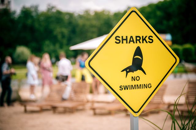 Коли на море не полетіти: у Вільнюсі посеред площі з'явився пляж - фото 413242