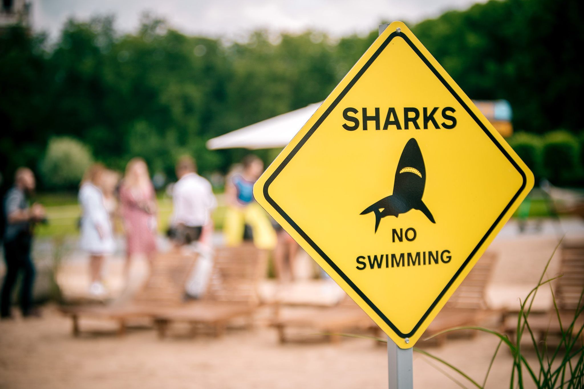 Коли на море не полетіти: у Вільнюсі посеред площі з'явився пляж