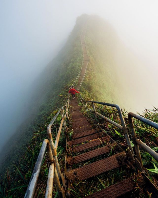 Як виглядає життя на Гаваях: ефектні фото - фото 413488