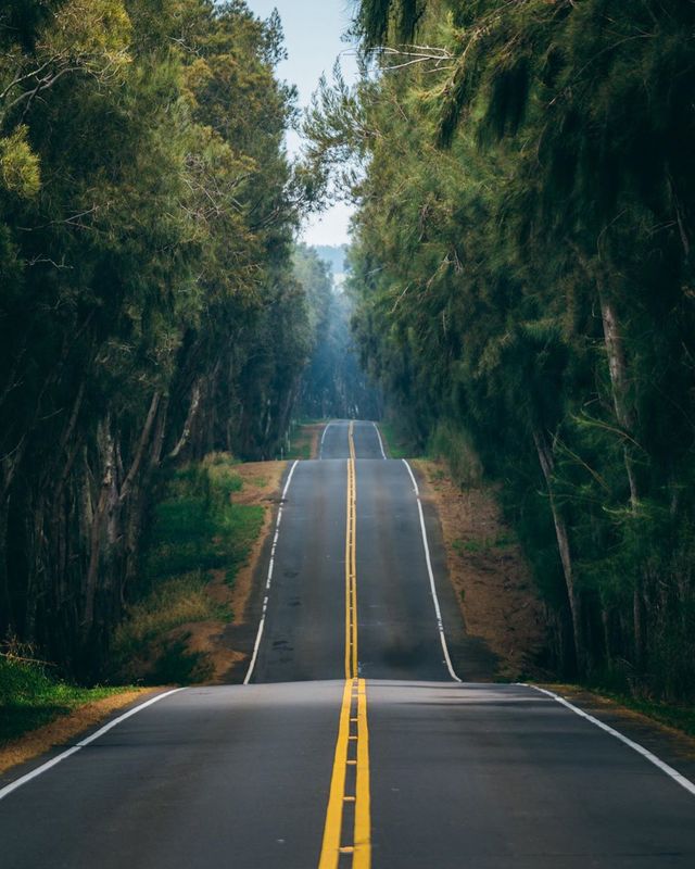 Як виглядає життя на Гаваях: ефектні фото - фото 413489