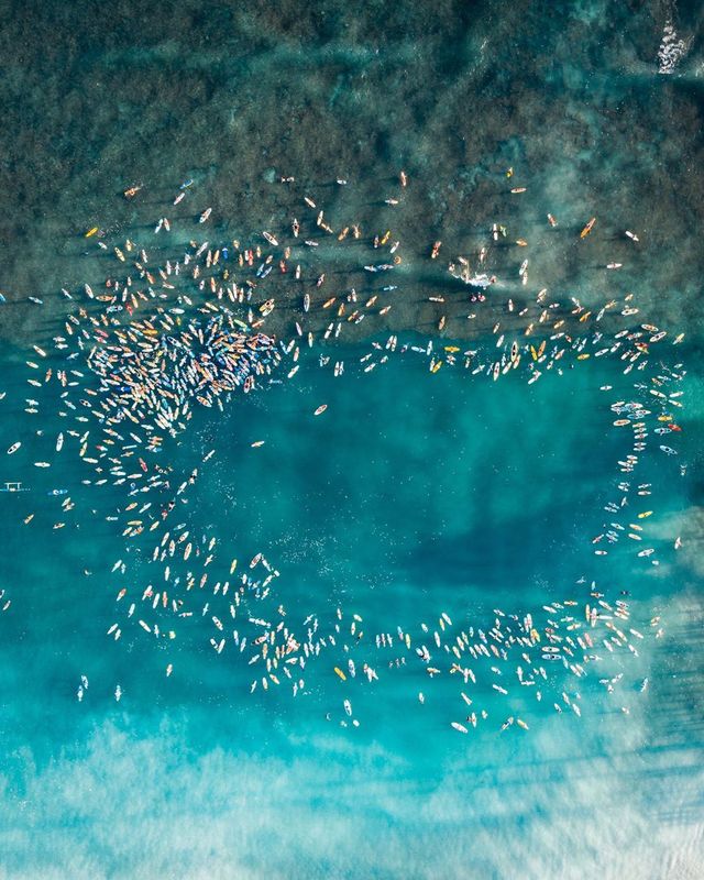 Як виглядає життя на Гаваях: ефектні фото - фото 413501