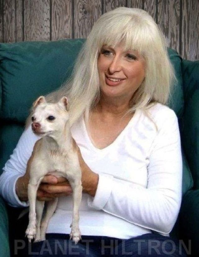 Як могли б виглядати голлівудські зірки, якби були звичайними людьми: фотодобірка - фото 413611