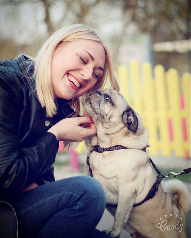 Лабрадор Melovina і болонка Каменських: добірка зіркових песиків до Дня собак - фото 413644