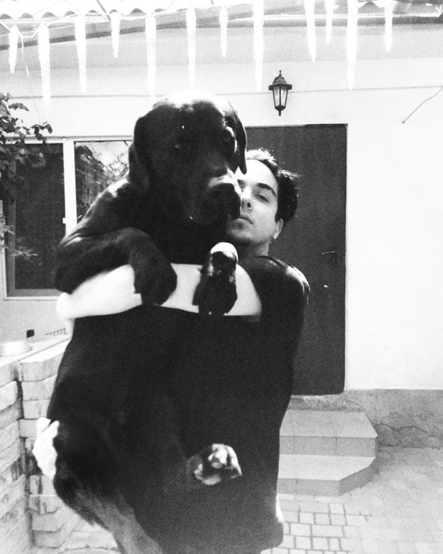 Лабрадор Melovina і болонка Каменських: добірка зіркових песиків до Дня собак - фото 413649