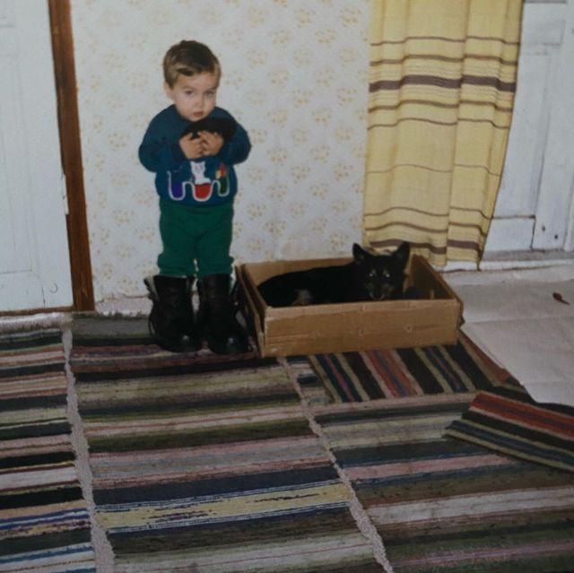 Лабрадор Melovina і болонка Каменських: добірка зіркових песиків до Дня собак - фото 413653