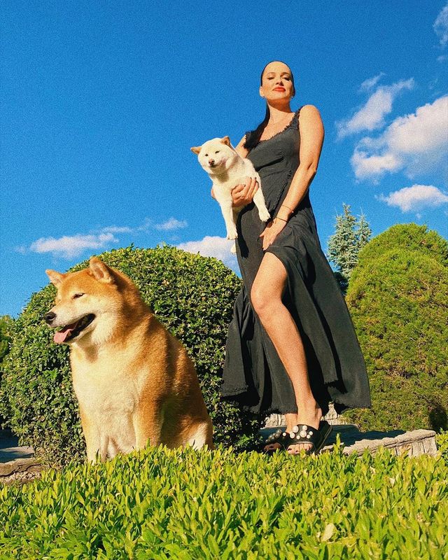 Лабрадор Melovina і болонка Каменських: добірка зіркових песиків до Дня собак - фото 413654