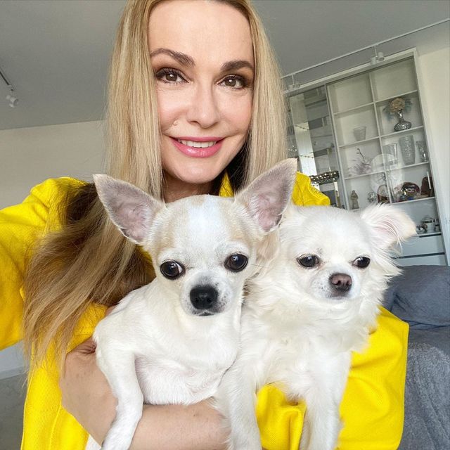 Лабрадор Melovina і болонка Каменських: добірка зіркових песиків до Дня собак - фото 413659