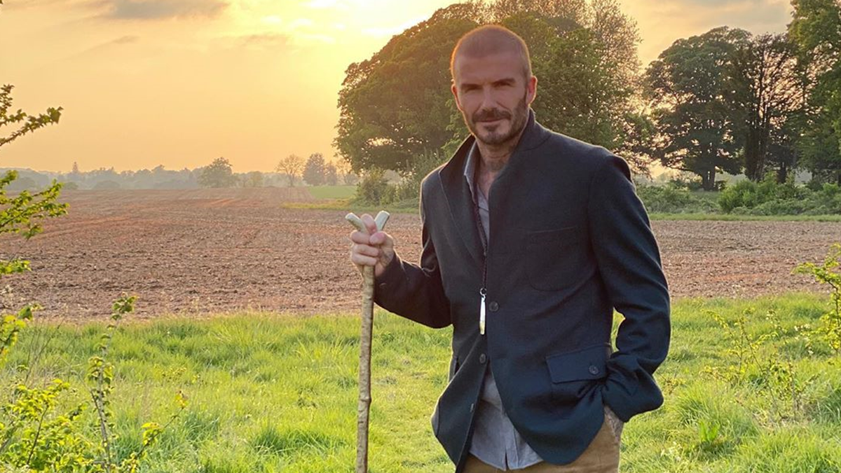 Девід Бекхем - фото 1