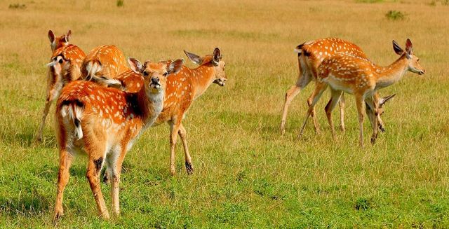 Здаю круті місця: Притула розкрив ідеальний маршрут для мандрів Заходом України - фото 413833