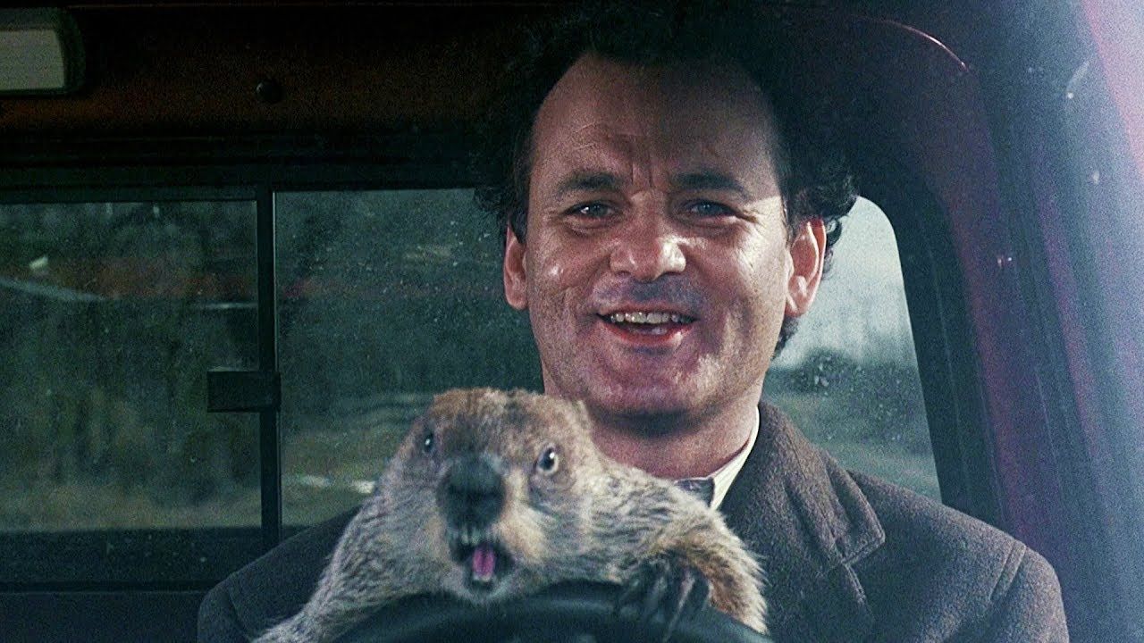 День бабака продовжується: готуються зйомки серіалу за культовим фільмом