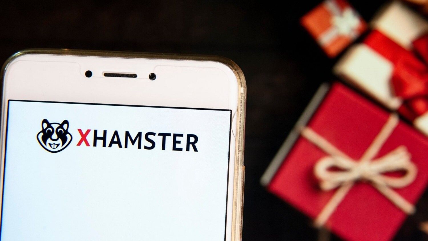 Порносайт вивчив закономірності між політичними і сексуальними уподобаннями користувачів