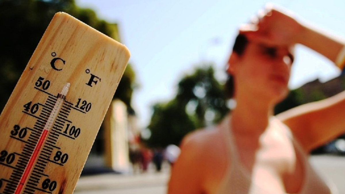 Спека у Харкові - фото 1