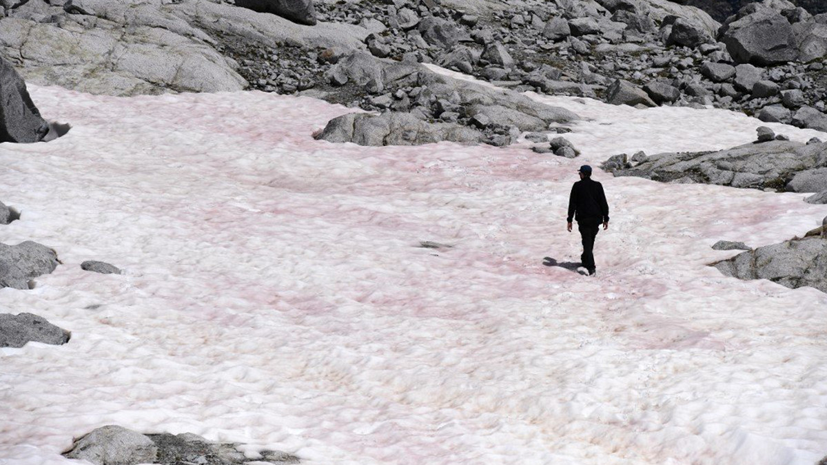 Рожевий сніг в Альпах - фото 1