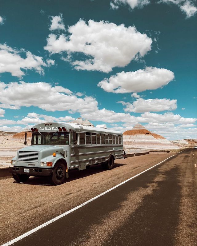 Пара із США перетворила старий шкільний автобус на атмосферний дім на колесах - фото 414237