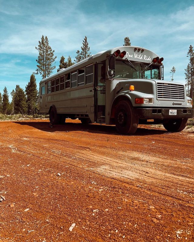 Пара із США перетворила старий шкільний автобус на атмосферний дім на колесах - фото 414239