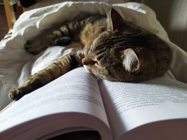 Найначитаніші люди за знаком Зодіаку - фото 414309