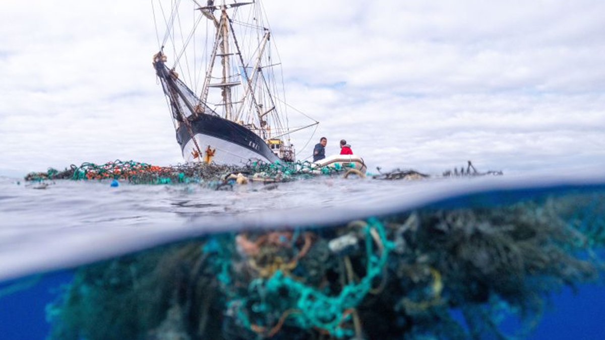 В океані відбулася наймасштабніша чистка від пластику