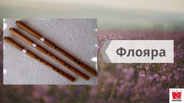 Най, троскотало, фрілка: 15 музичних інструментів, на яких грали українці в давнину - фото 414766