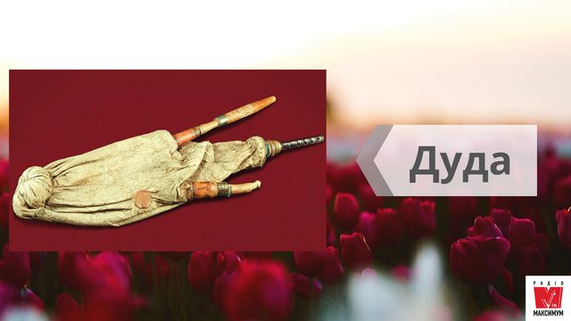 Най, троскотало, фрілка: 15 музичних інструментів, на яких грали українці в давнину - фото 414767