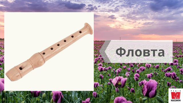 Най, троскотало, фрілка: 15 музичних інструментів, на яких грали українці в давнину - фото 414771