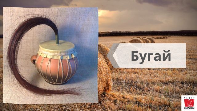 Най, троскотало, фрілка: 15 музичних інструментів, на яких грали українці в давнину - фото 414772