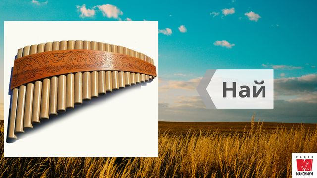 Най, троскотало, фрілка: 15 музичних інструментів, на яких грали українці в давнину - фото 414773