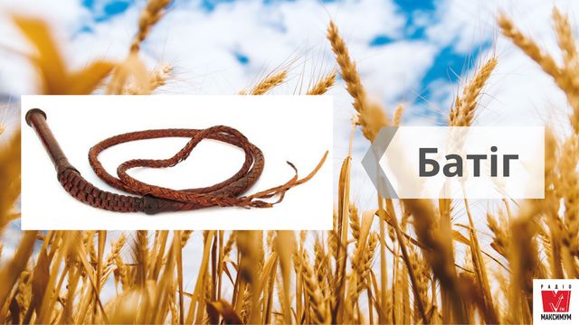 Най, троскотало, фрілка: 15 музичних інструментів, на яких грали українці в давнину - фото 414774