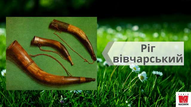 Най, троскотало, фрілка: 15 музичних інструментів, на яких грали українці в давнину - фото 414778