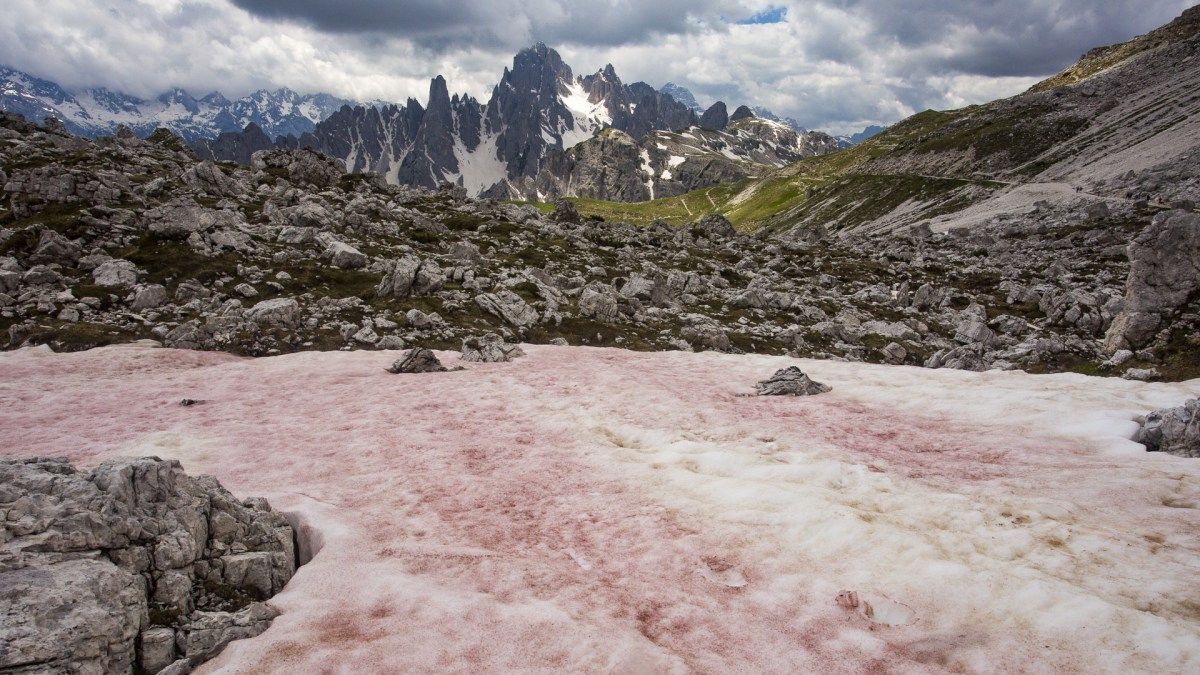 В Альпах з'явився рожевий лід : фотофакт