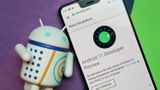 Android 11: Google випадково розкрила дату презентації нової версії 
