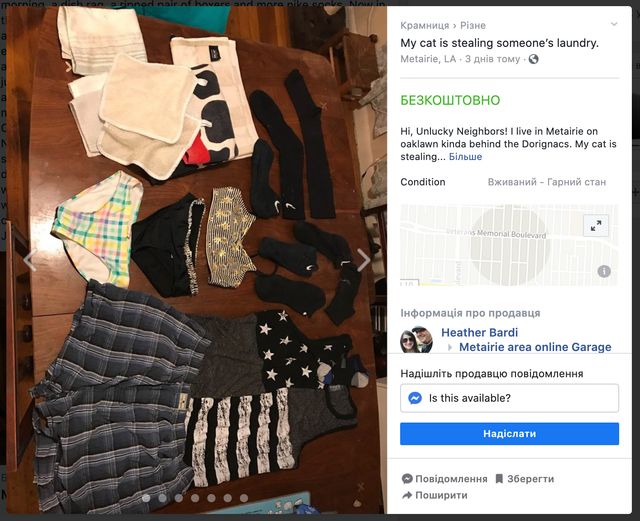 Коли твій кіт – клептоман: жінка показала 'улов' свого домашнього улюбленця - фото 414965