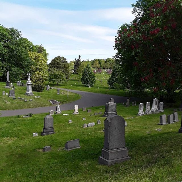 У Нью-Йорку відкрили моторошну вакансію: працівнику заплатять за проживання на кладовищі - фото 415082