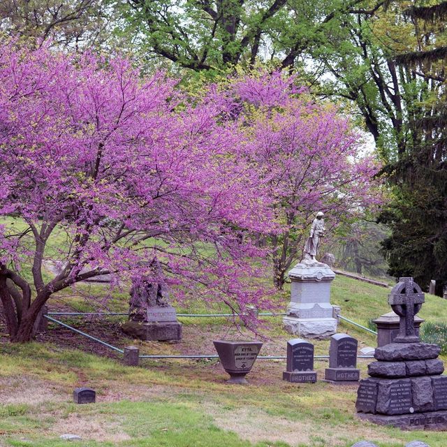 У Нью-Йорку відкрили моторошну вакансію: працівнику заплатять за проживання на кладовищі - фото 415084