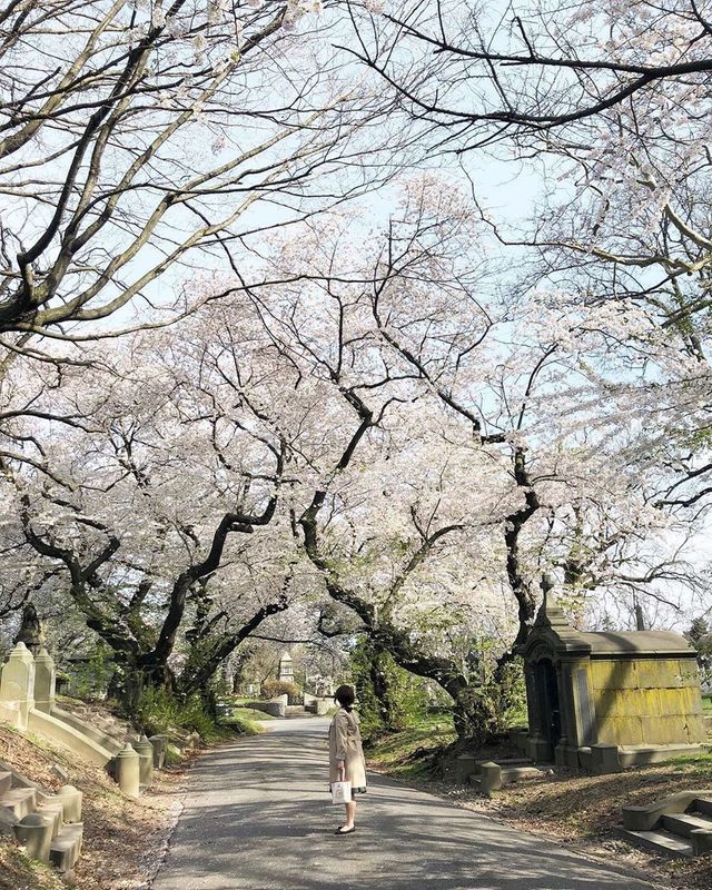 У Нью-Йорку відкрили моторошну вакансію: працівнику заплатять за проживання на кладовищі - фото 415086
